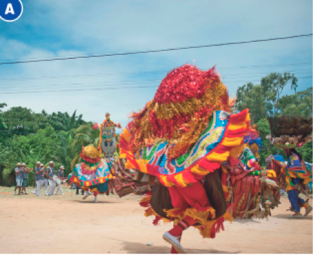 Imagem: Fotografia A. Pessoas com fantasia colorida estão dançando em um campo. Ao fundo, árvores.   Fim da imagem.