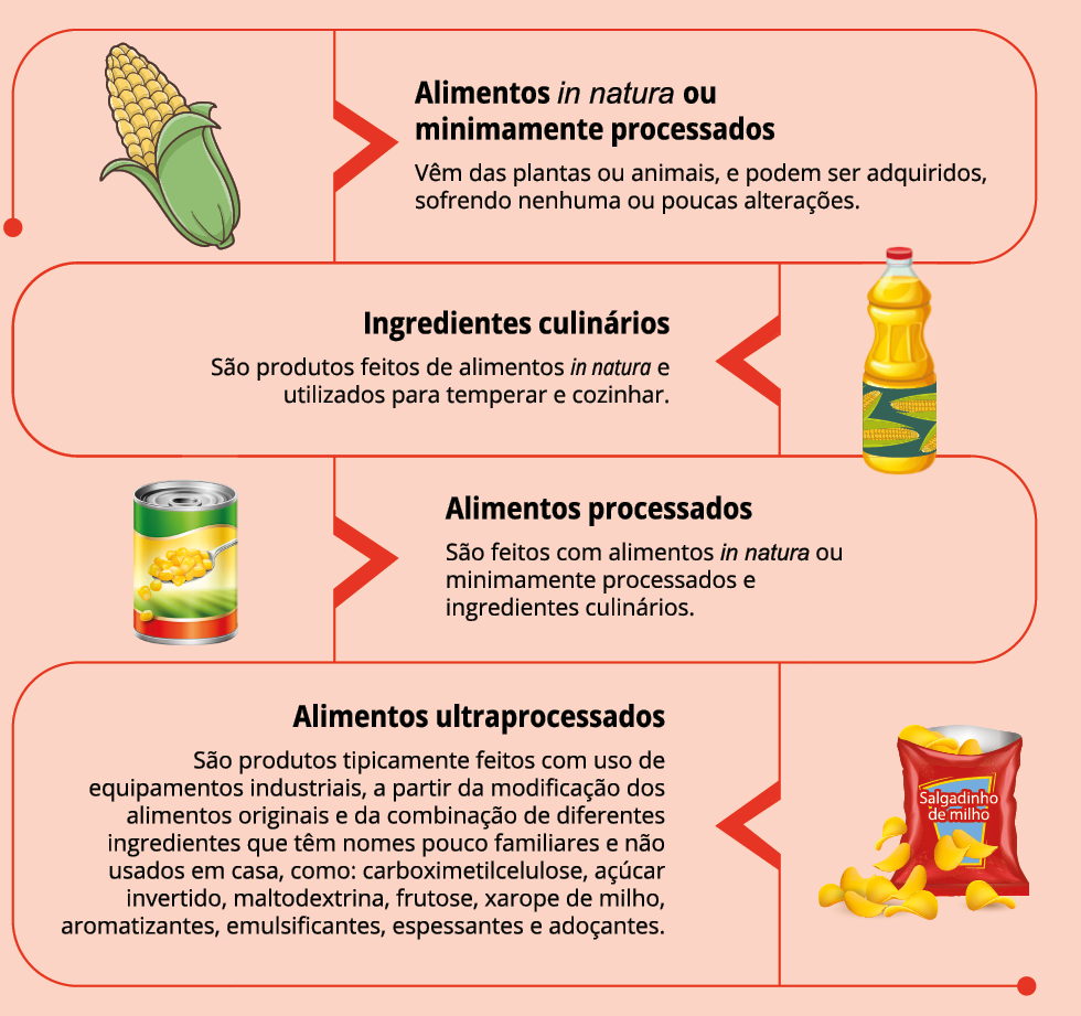 Imagem: Ilustração. Uma espiga de milho. Alimentos in natura ou minimamente processados. Vêm das plantas ou animais, e podem ser adquiridos, sofrendo nenhuma ou poucas alterações. Uma garrafa de óleo com desenhos de espigas no rótulo. Ingredientes culinários. São produtos feitos de alimentos in natura e utilizados para temperar e cozinhar. Uma lata de milho. Alimentos processados. São feitos com alimentos in natura ou minimamente processados e ingredientes culinários. Um saco de salgadinho de milho. Alimentos ultraprocessados. São produtos tipicamente feitos com uso de equipamentos industriais, a partir da modificação dos alimentos originais e da combinação de diferentes ingredientes que têm nomes pouco familiares e não usados em casa, como: carboximetilcelulose, açúcar invertido, maltodextrina, frutose, xarope de milho, aromatizantes, emulsificantes, espessantes e adoçantes. Fim da imagem.