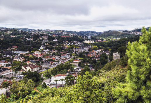 Imagem: vista aérea de uma cidade rodeada por árvores.  Fim da imagem.