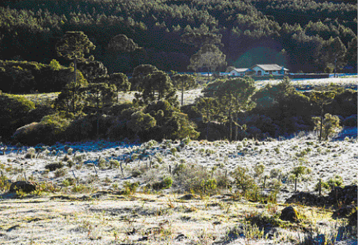Imagem: uma área gramada coberta por neve;  Fim da imagem.