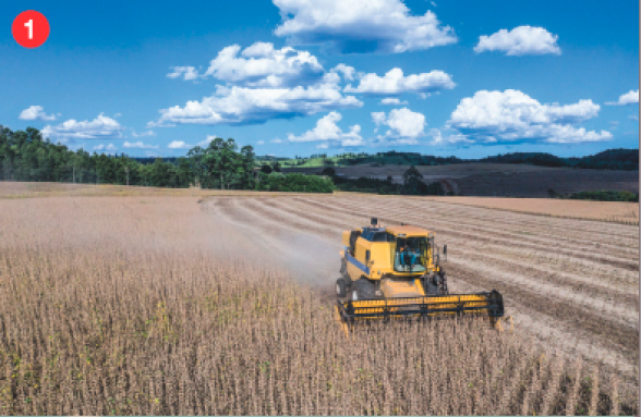Imagem: Infográfico. Ilustração de ruas com casa, prédios, antenas, pontes com carros e tratores. Há quatro painéis com fotografia, cada um com uma foto. 1: um trator amarelo em uma plantação. Colheita de soja no município de Cornélio Procópio, no estado do Paraná, em 2020. 2: uma estrada ao lado de uma fábrica. Polo industrial no município de Santa Gertrudes, no estado de São Paulo, em 2020. 3: um homem de camiseta branca e equipamento de proteção mexendo em uma máquina. Ele está dentro de uma fábrica. Profissional utilizando Exoesqueleto em indústria Automobilística no município de Betim, no estado de Minas Gerais, em 2018. 4: pessoas caminhando em um calçadão, ao lado de prédios. Pessoas caminhando em área comercial no município de Presidente Prudente, no estado de São Paulo, em 2020. Fim da imagem.