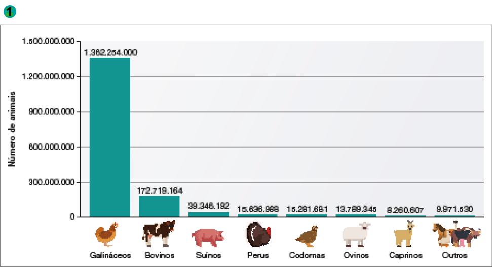 Imagem: Gráfico. Brasil: quantidade de animais por tipo de rebanho (2017). No eixo vertical, número de animais. No eixo horizontal, animal. Animal: galináceos. Número de animais: 1.362.254.000. Animal: bovinos. Número de animais: 172.719.164. Animal: suínos. Número de animais: 39.346.192. Animal: perus. Número de animais: 15.636.988. Animal: codornas. Número de animais: 15.281.681. Animal: ovinos. Número de animais: 13.789.345. Animal: caprinos. Número de animais: 8.260.607. Animal: outros. Número de animais: 9.971.530. Fim da imagem.