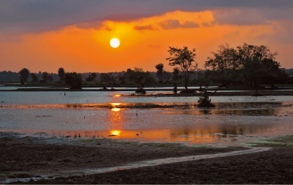 Imagem: Fotografia em plano aberto. Paisagem composta pela beira-mar e árvores sombreadas ao fundo. No horizonte, o sol brilha distante no céu alaranjado com nuvens.  Fim da imagem.