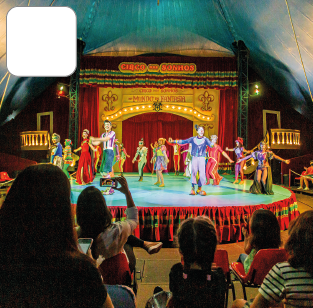 Imagem: Fotografia. Destaque de pessoas na plateia que assistem a um grupo de artistas fantasiados e com malabares se apresentando em um palco decorado.  Fim da imagem.