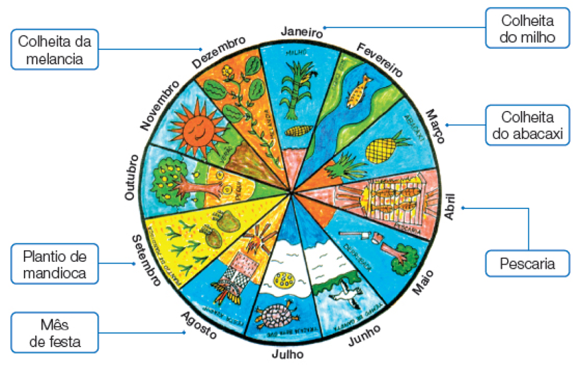 Imagem: Ilustração. Calendário Suyá. Um círculo dividido em 12 partes com linhas paralelas que partem do centro, sendo que cada parte diz respeito a um mês do calendário. Janeiro: Colheita do milho. Há um pé de milho e uma espiga colhida. Fevereiro: Rio Cheio. Há um peixe na água. Março: Colheita do abacaxi. Há um abacaxi e uma coroa na terra. Abril: Pescaria. Há peixes na brasa. Maio: Derrubada. Há uma árvore cortada por machado. Junho: Tempo de gaivota. Há uma ave branca voando. Julho: Tartaruga bota ovo. Há uma tartaruga perto de seus ovos. Agosto: Mês de festa. Há a representação do símbolo da festa próximo à fogueira. Setembro: Plantio de mandioca. Há mudas na terra. Outubro: Pequi. Pé carregado de frutas e algumas no chão. Novembro: Verão. Sol personificado. Dezembro: Colheita da melancia. Há representação da plantação da fruta e uma flor. Fim da imagem.
