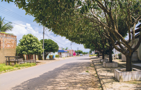 Imagem: Fotografia. Destaque de uma rua pavimentada com muitas árvores na calçada.  Fim da imagem.
