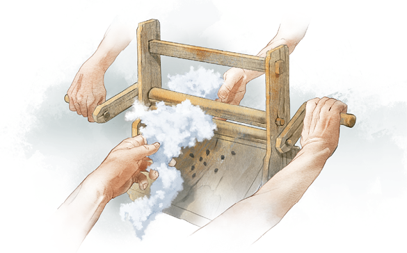 Imagem: Ilustração. Destaque das mãos de duas pessoas que manipulam uma estrutura de madeira com manivela e dois rolos que separam o algodão dos caroços. Fim da imagem.