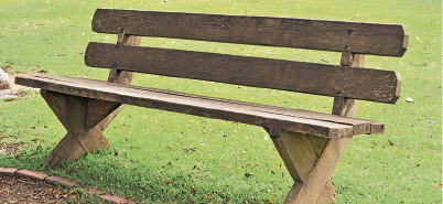 Imagem: Fotografia. Destaque de um banco de madeira vazio em uma área gramada. Fim da imagem.
