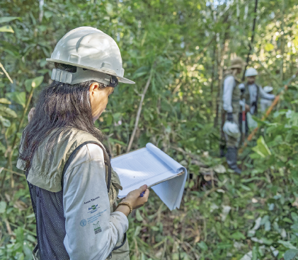Imagem: Fotografia. Na mata, uma mulher uniformizada e com capacete folheia uma caderneta. Ao fundo, outras pessoas uniformizadas e com equipamentos.  Fim da imagem.
