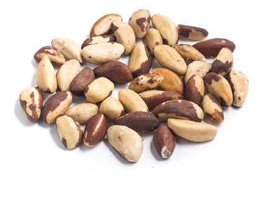 Imagem: Fotografia. Punhado de pequenas castanhas de aspecto ovalar, superfície lisa de cor bege e casca fina marrom. Fim da imagem.