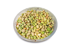 Imagem: Fotografia. Um pato com sementes pequenas e claras.  Fim da imagem.