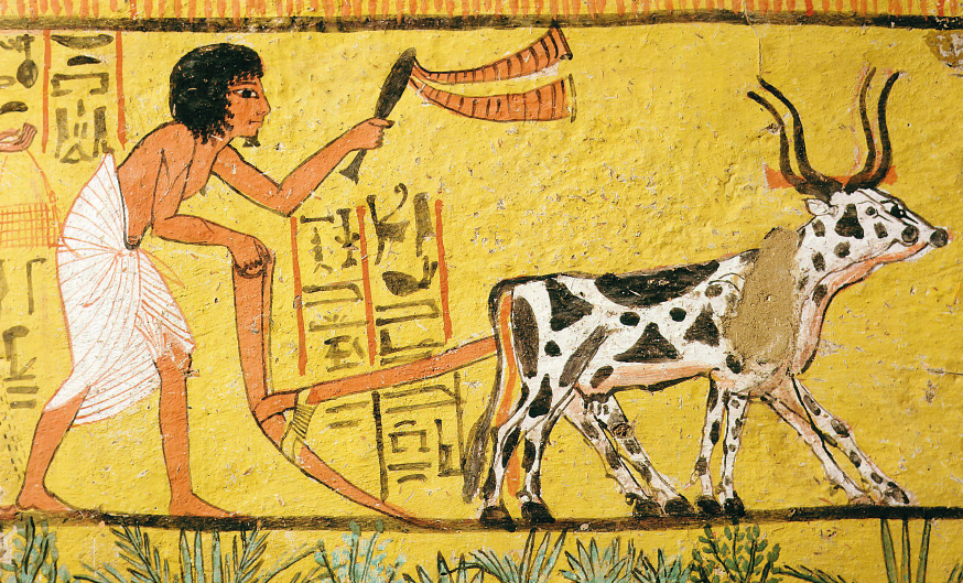 Imagem: Pintura. Superfície amarela na qual há um homem de cabelo preto curto, região dos olhos pintada, sem camisa, longa saia e descalço. Ele está de pé a ara a terra com auxílio de um equipamento ligado a dois bois à sua frente.  Em uma das mãos, segura um chicote. Há pinturas com figuras diversas em meio ao desenho. Fim da imagem.