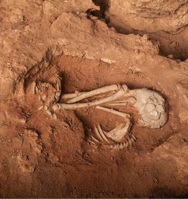 Imagem: Fotografia.  Destaque de uma superfície rochosa que apresenta pedaços de fósseis. Fim da imagem.