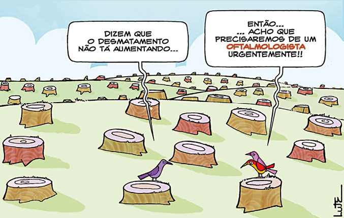 Imagem: Charge. Muitos tocos de madeira de uma área desmatada. Pousado nos tocos, dois pássaros conversam. O primeiro diz: “DIZEM QUE O DESMATAMENTO NÃO TÁ AUMENTANDO...”. E o outro exclama: “ENTÃO... ACHO QUE PRECISAREMOS DE UM OFTALMOLOGISTA URGENTEMENTE!!”. Fim da imagem.