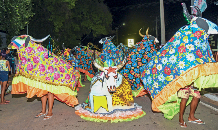 Imagem: Fotografia. Durante a noite, na rua, pessoas de chinelo estão fantasiadas com roupa de boi com corpo coberto de chita, saia com babados de cetim e chifres enfeitados. Ao centro, um fantasia em destaque com o boi agachado e com uma estrela vermelha na testa.  Fim da imagem.
