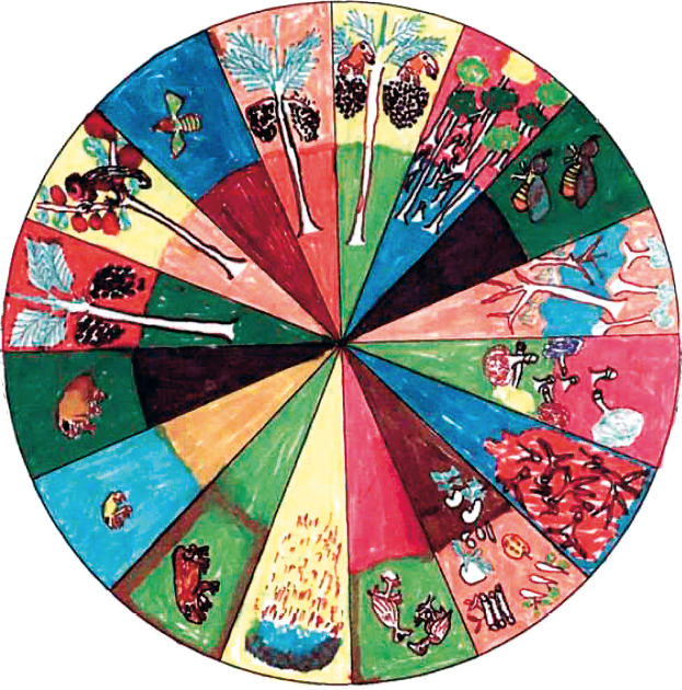 Imagem: Ilustração. Um círculo que apresenta 16 divisões em linhas paralelas com diferentes figuras. Em sentido horário, na primeira: uma árvore com frutas e pássaros. Na segunda: muitas árvores. Na terceira: duas abelhas voando. Na quarta: árvores. Na quinta: pessoas na água. Na sexta: pessoas na água. Na sétima: legumes sedo regados. Na oitava: dois pássaros. Na nona: uma nuvem de chuva. Na décima: um tatu na terra. Na décima primeira: um sapo. Na décima segunda: um animal quadrúpede robusto. Na décima terceira: uma árvore com frutas. Na décima quarta: uma árvore com frutas das quais se alimenta um macaco. Na décima quinta: um pássaro voando. Na décima sexta: um árvore com frutas.  Fim da imagem.